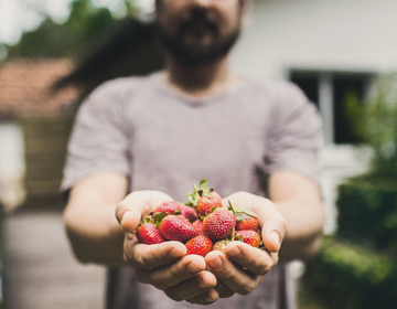 Frutas turbinam a saúde