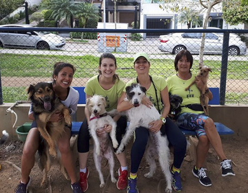 Evento Vai Totó terá edição em Caxias