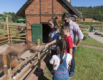 Olivas de Gramado apresenta novidades